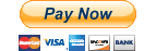 PayPal: Buy ICSC Digital Subscription