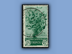 196-004a.jpg