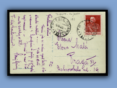 200-241b.jpg