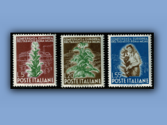 200-545a.jpg