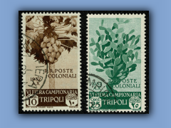 200-634a.jpg